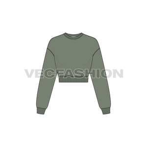 A vector illustrator sketch template of Women's Drop Shoulder Crop Sweatshirt. It is illustrated with Front, Side and Back view. It has rib on neck, sleeve cuffs and bottom hem. It is a drop-shoulder sweatshirt with crop body fit.