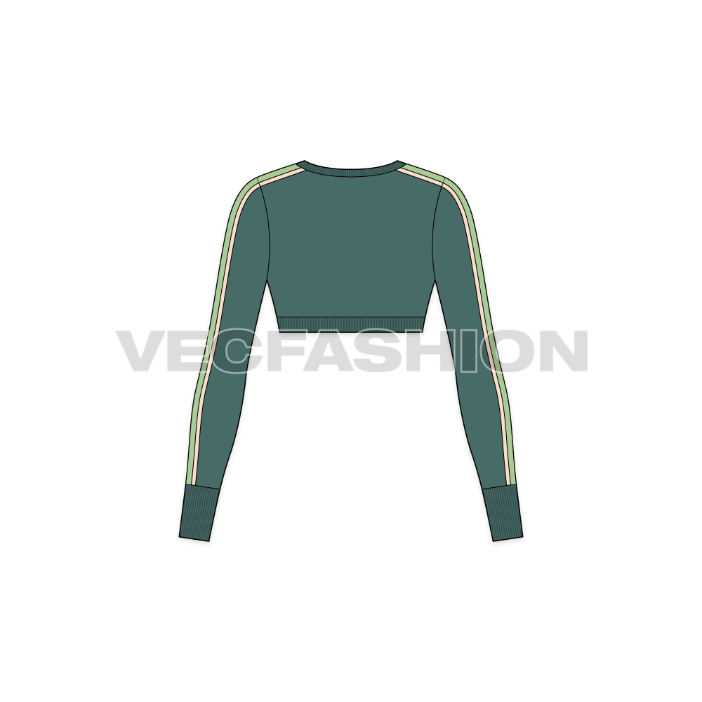 A vector template for Women's Full Sleeved Cropped Sweater. It has contrast piping going down the sleeve along with a contrast color panel.