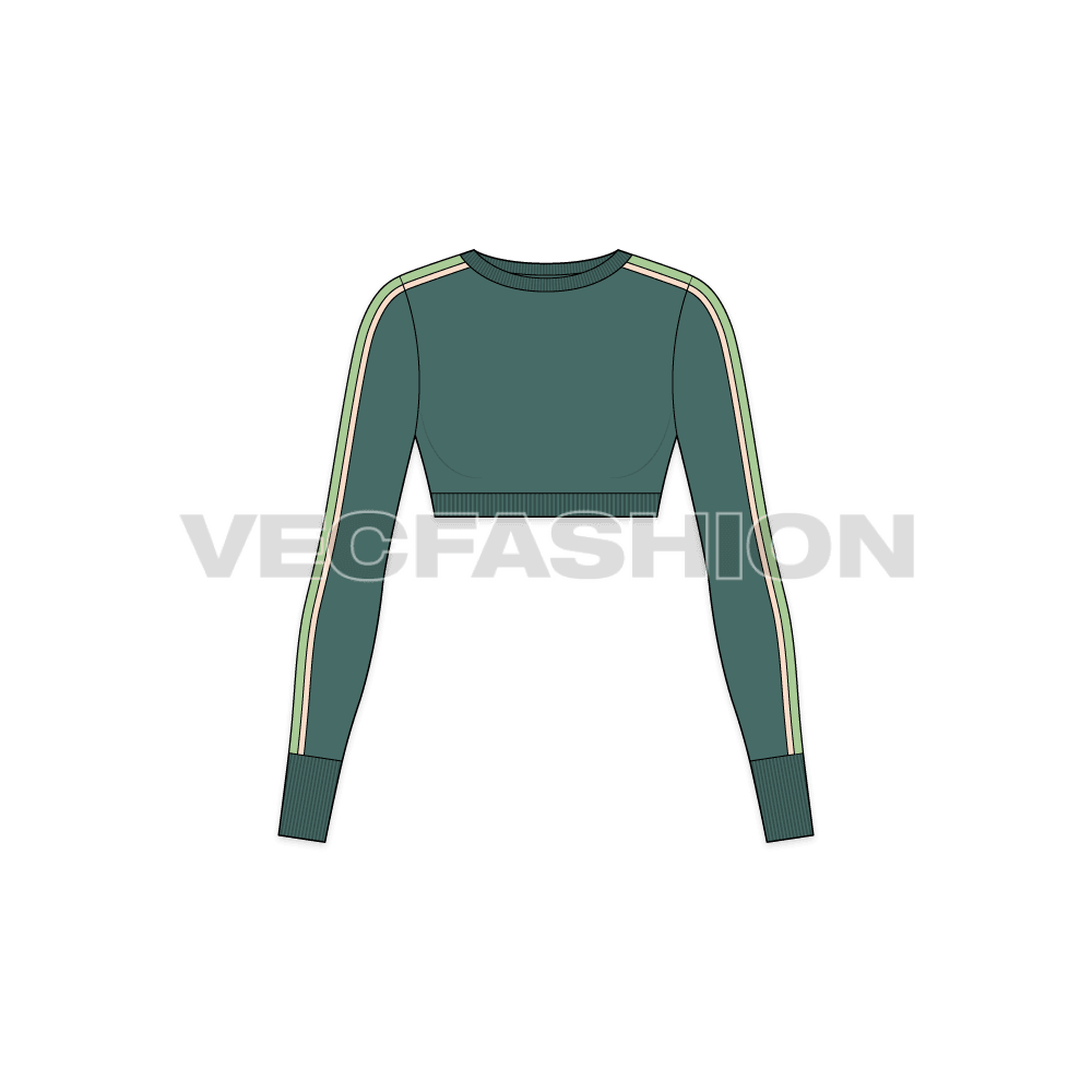 A vector template for Women's Full Sleeved Cropped Sweater. It has contrast piping going down the sleeve along with a contrast color panel.
