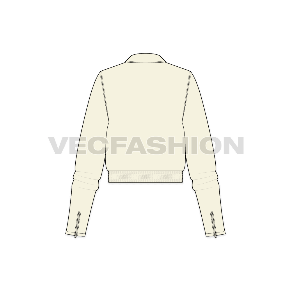 A vector illustrator template for Women's Short Body Jacket. It is a dropped shoulder streetwear style jacket with details like elasticated bottom hem, big pockets, zippers etc.