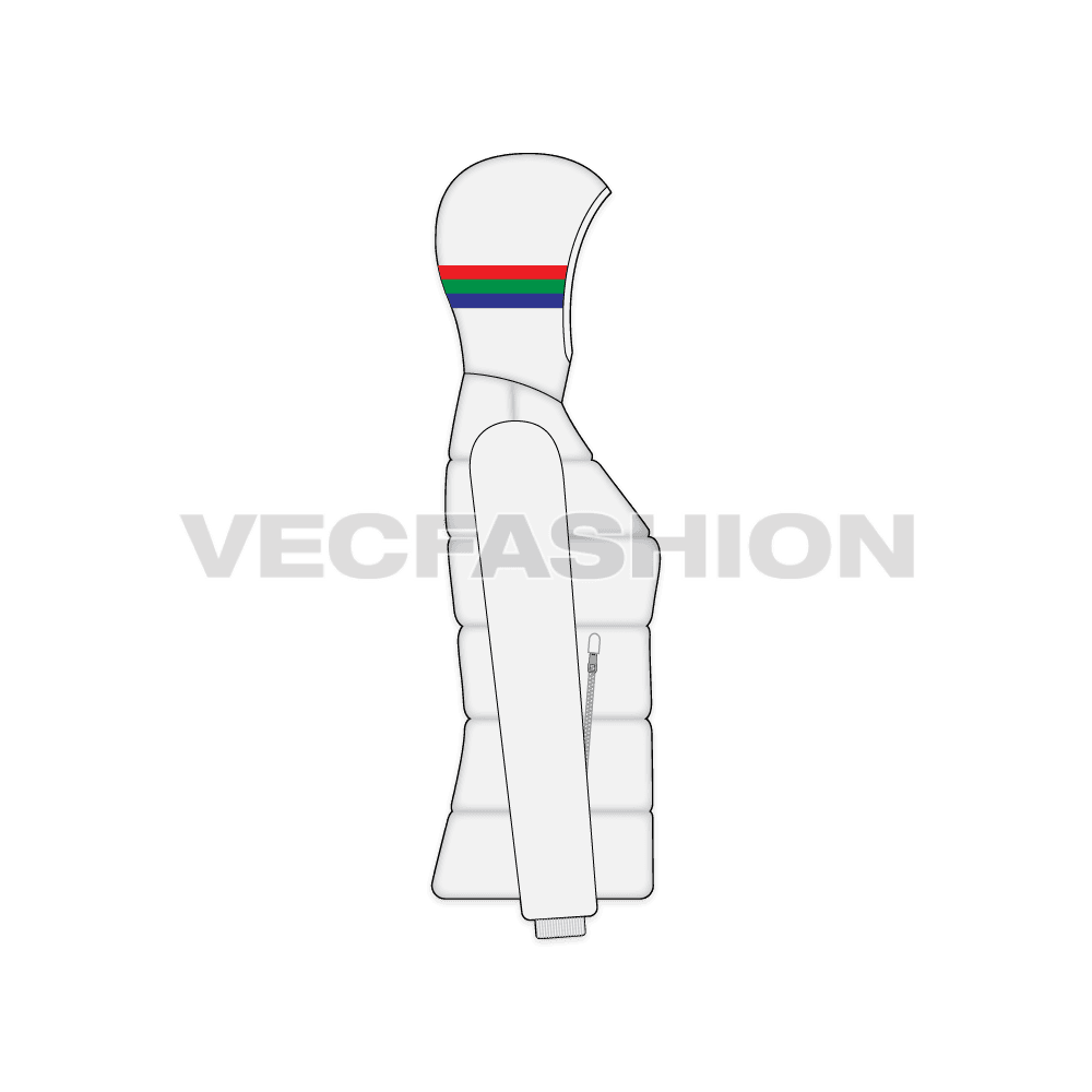 A vector template for Women's Sport Puffer Jacket. It has colored contrast stripes on the hood and have special drawstrings and side pockets on front.