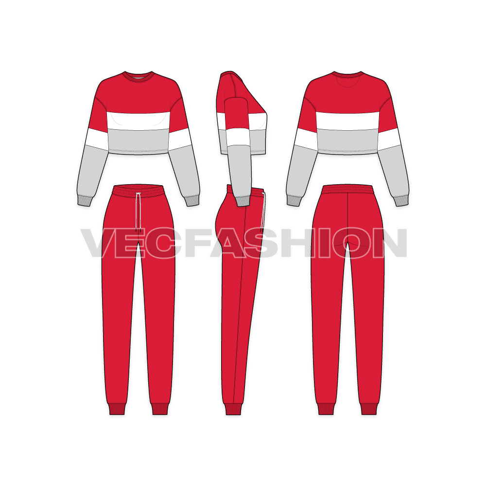 An editable vector template for Women's Sport Tracksuit. It has a cropped crew neck sweater with comfort fit joggers. The sweater is a color-blocked design with panels on front and sleeves.