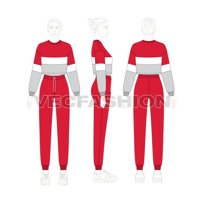 An editable vector template for Women's Sport Tracksuit. It has a cropped crew neck sweater with comfort fit joggers. The sweater is a color-blocked design with panels on front and sleeves.