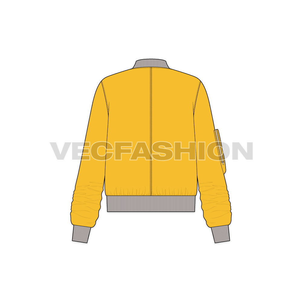 Women Bomber Jacket Flat Sketch flat sketch, back view