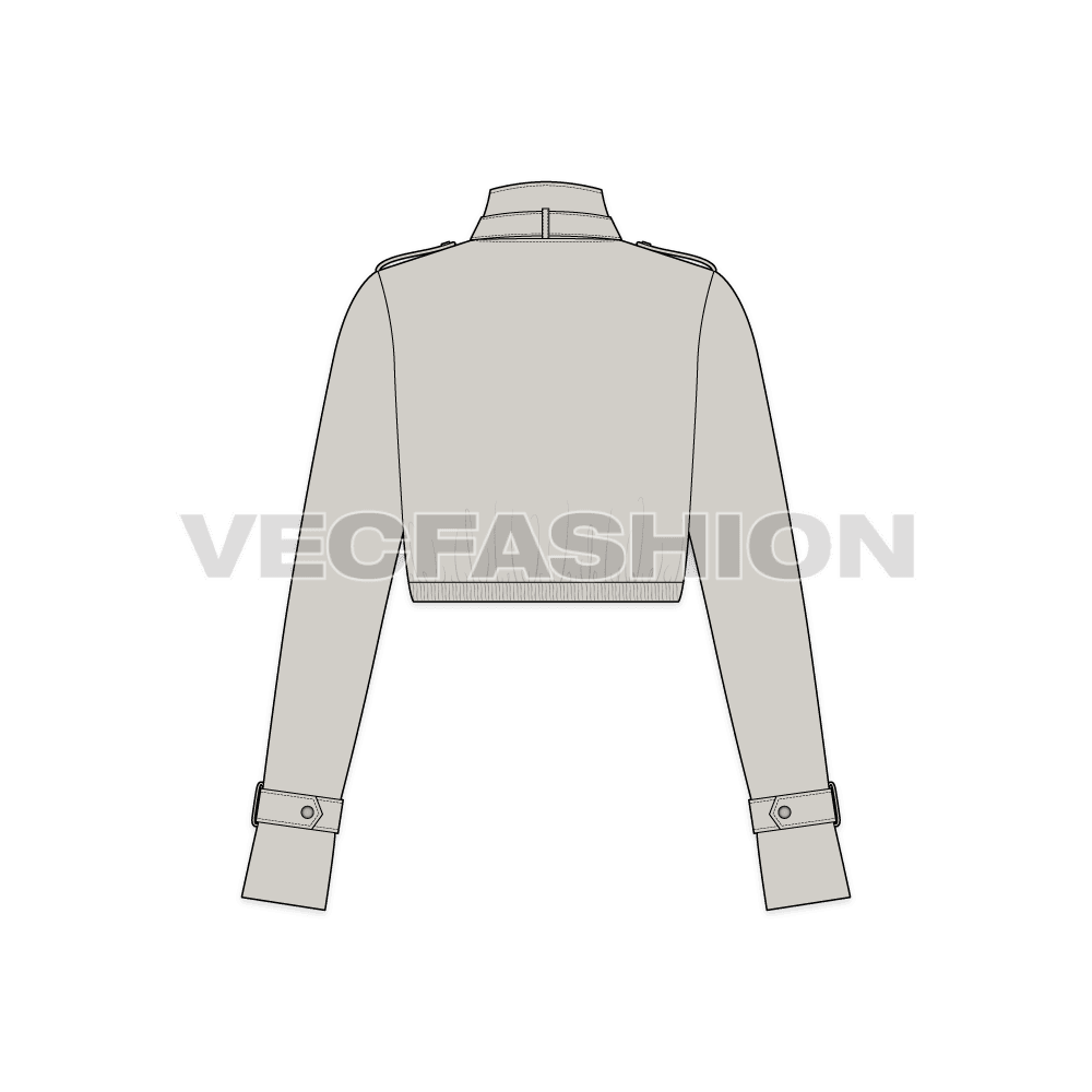 Women Crop Jacket flat sketch, back view