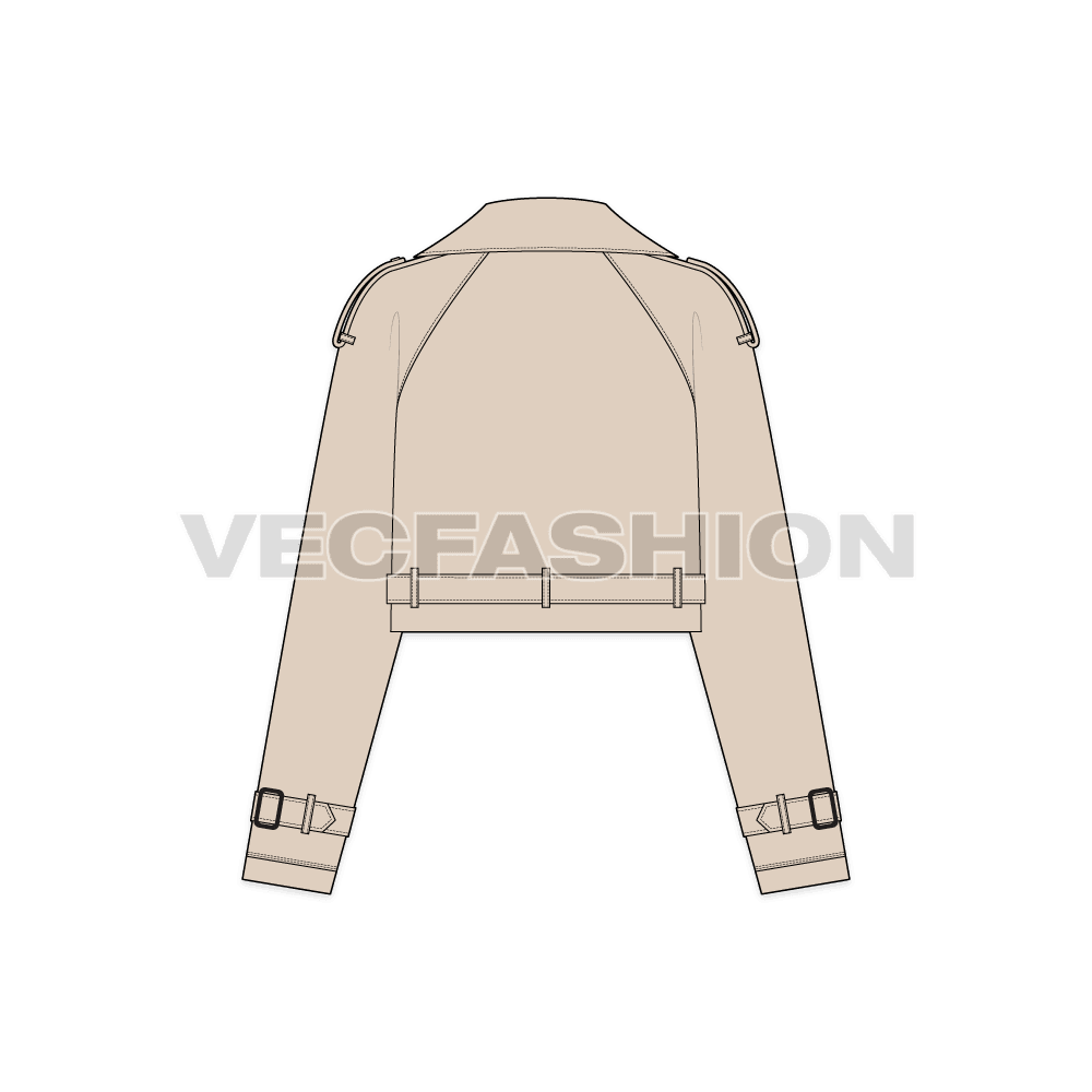 Women Crop Leather Jacket flat sketch, back view