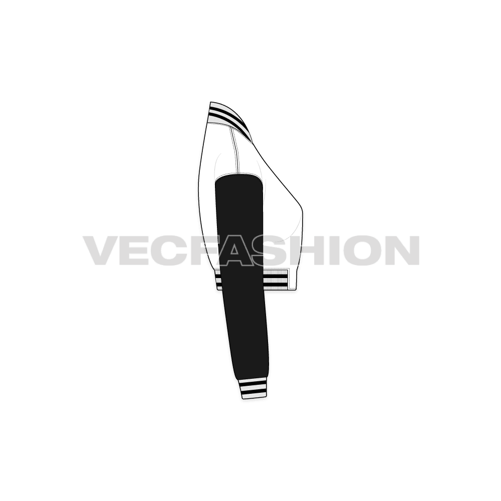 Women Crop Varsity Jacket flat sketch, side view