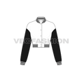 Women Crop Varsity Jacket flat sketch, front view