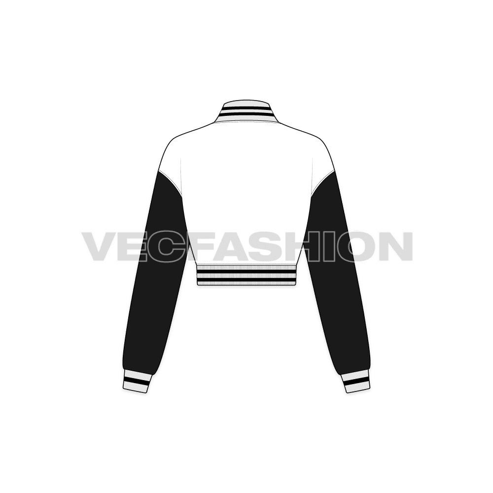 Women Crop Varsity Jacket flat sketch, back view