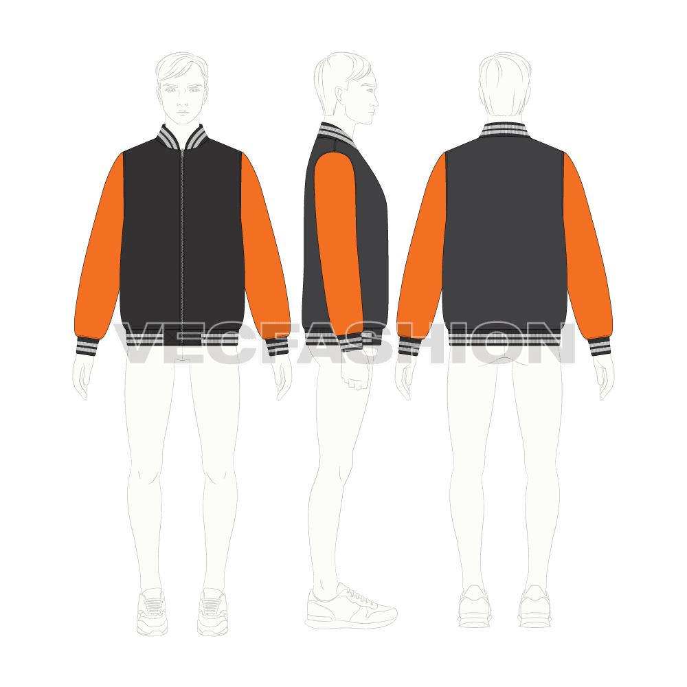 Varsity Style Bomber Jacket flat sketch, croqui sketch