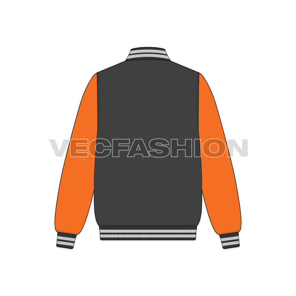 Varsity Style Bomber Jacket flat sketch, back view
