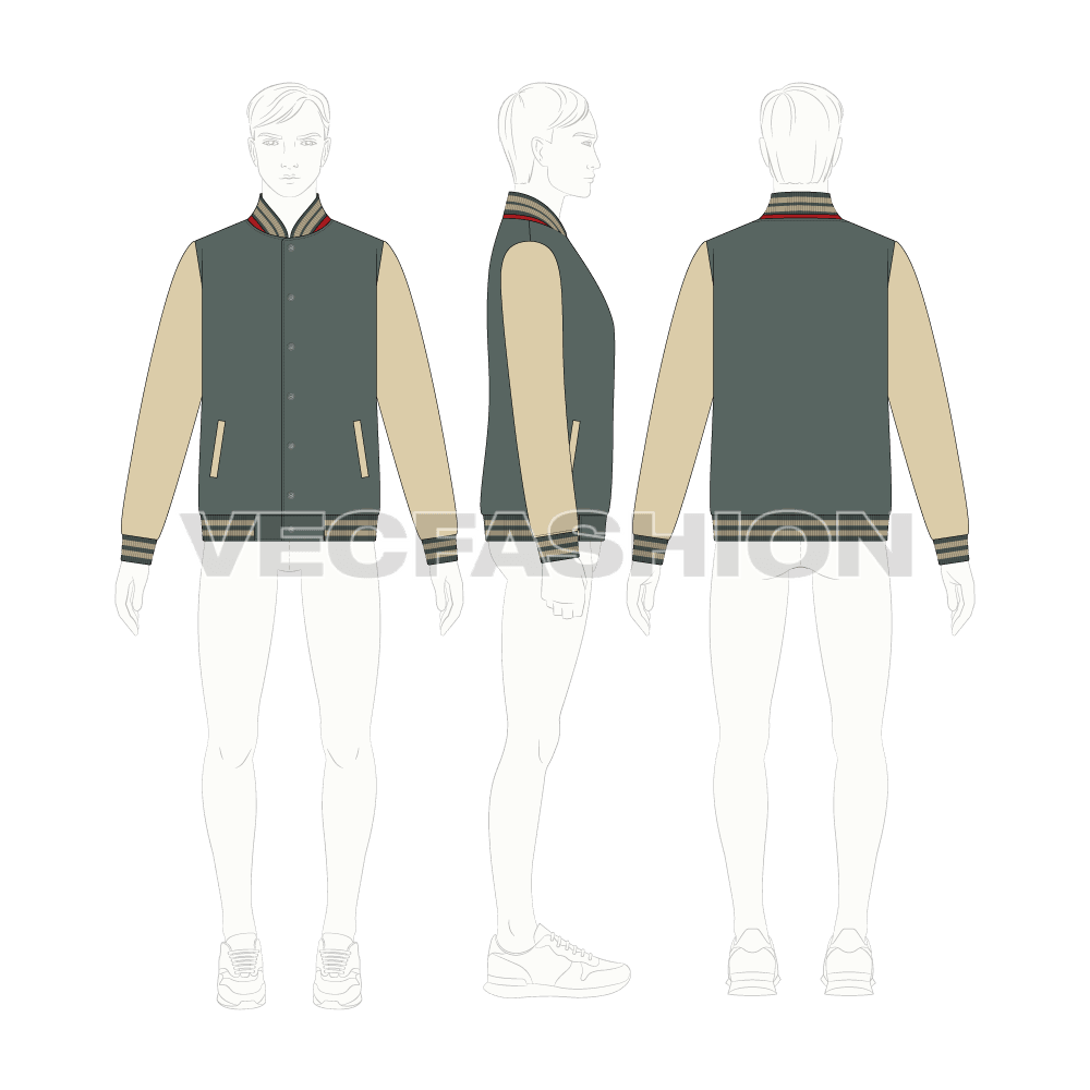 Mens American Baseball Vector Jacket flat sketch, croqui sketch