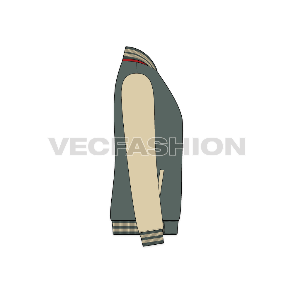 Mens American Baseball Vector Jacket flat sketch, side view
