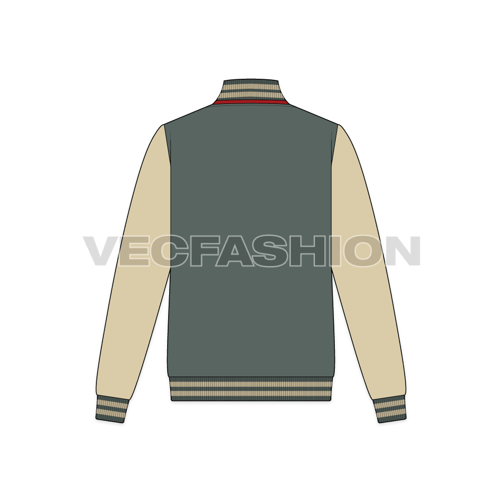 Mens American Baseball Vector Jacket flat sketch, back view