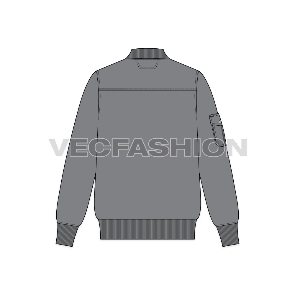 Mens Bomber Jacket Vector flat sketch, back view