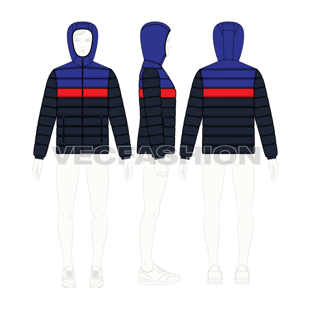 Mens Contrast Panels Down Jacket flat sketch, croqui sketch