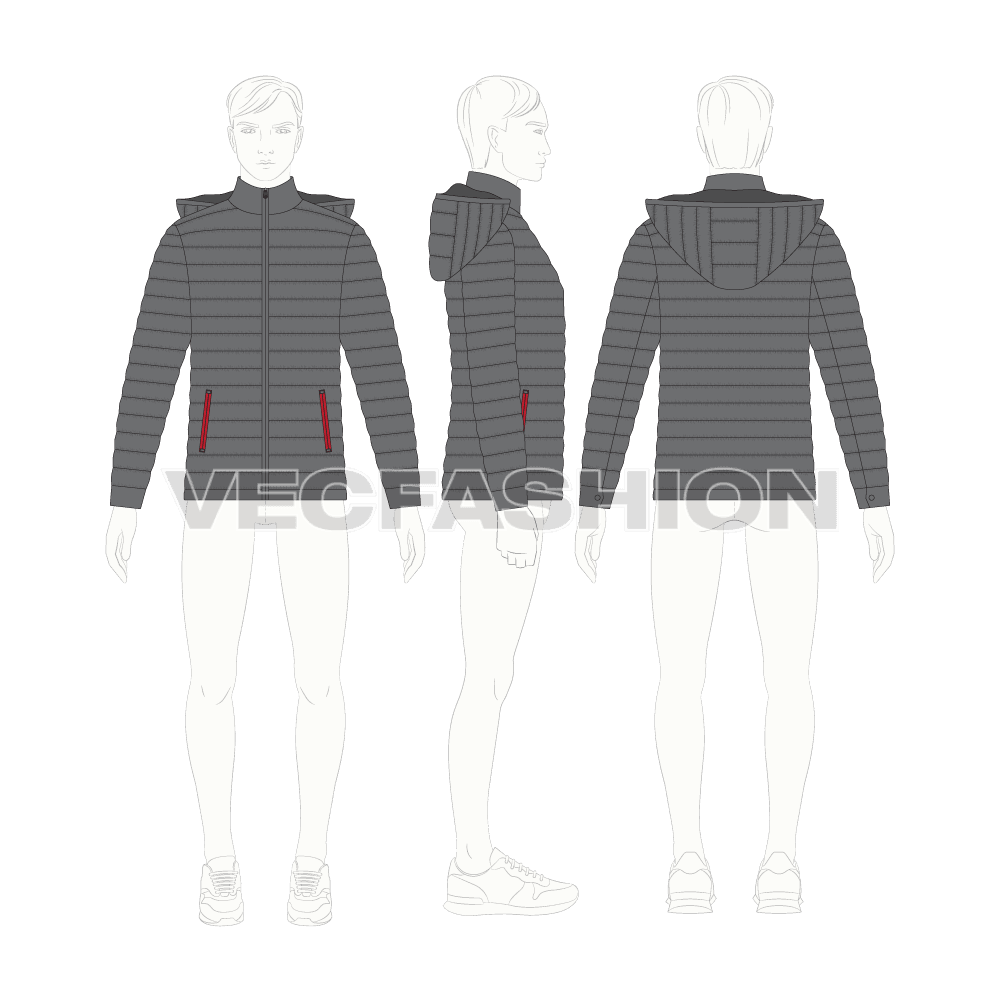 Mens Hooded Down Jacket flat sketch, croqui sketch