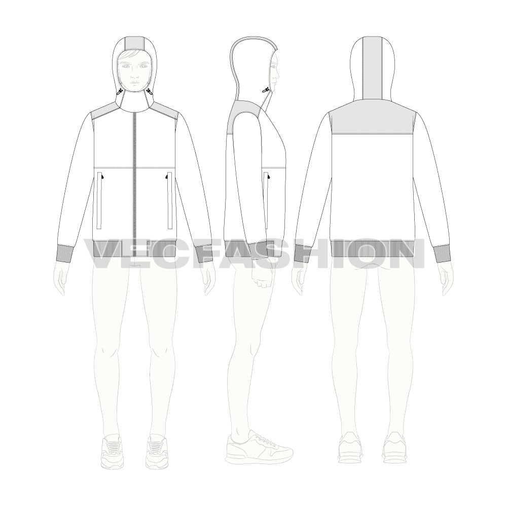 Mens Insulated Windbreaker flat sketch, croqui sketch