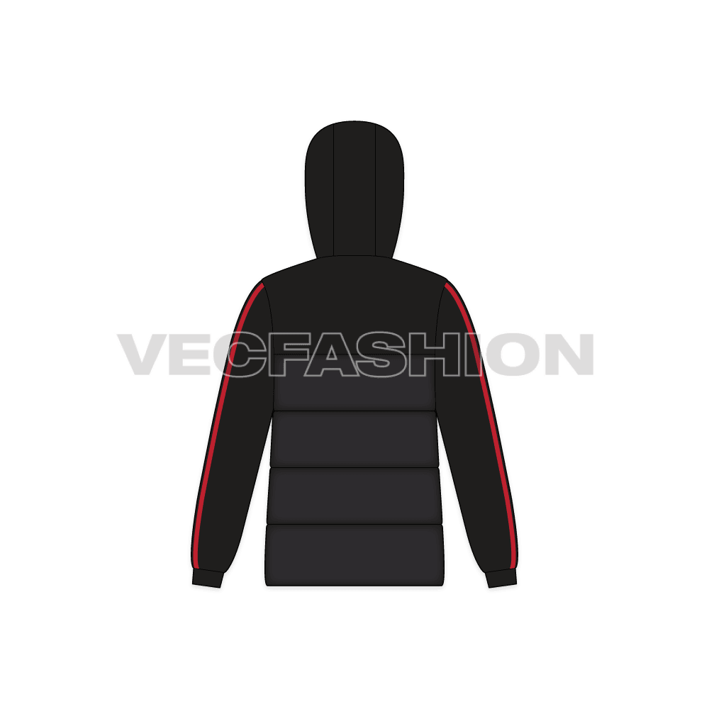 Mens Jacket with Padded Panels flat sketch, back view
