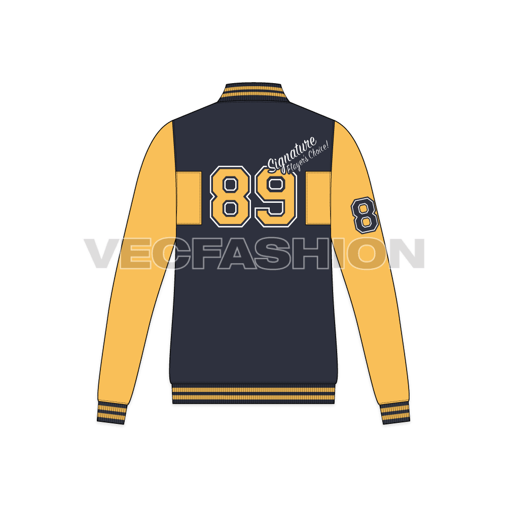 Mens lettermans jacket flat sketch, back view
