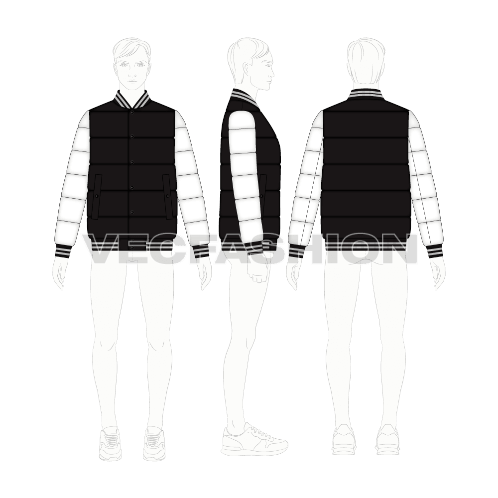 Mens Puffer Varsity Jacket flat sketch, croqui sketch