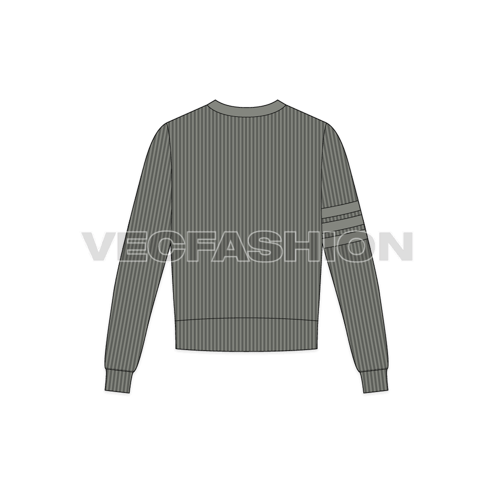 Mens short body sweater flat sketch, back view