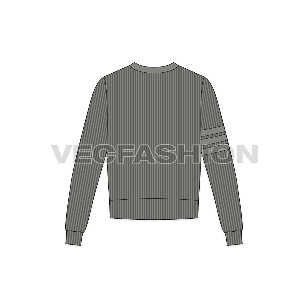 mens short body sweater , grey color, ribbed, fashion template showing back view