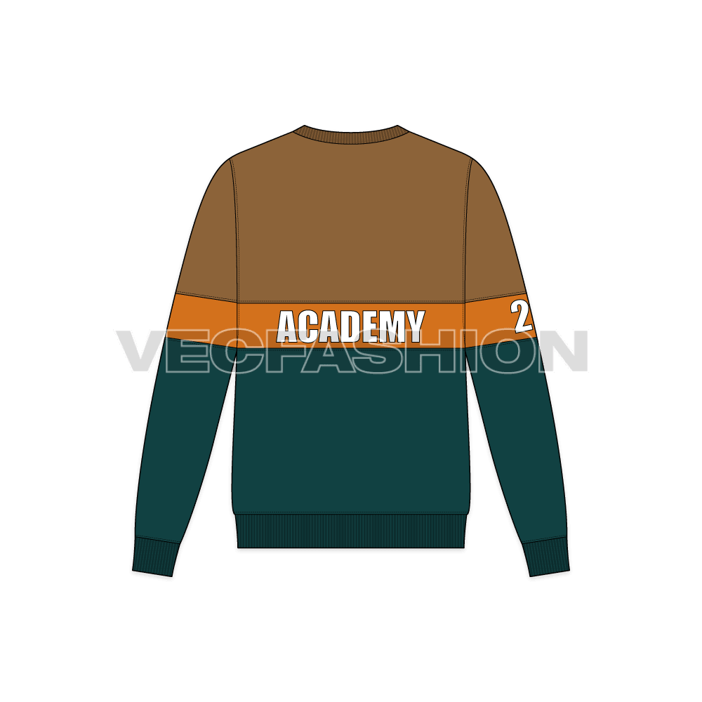 Mens university sweatshirt flat sketch, back view
