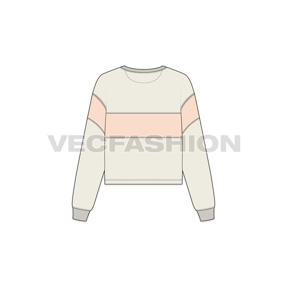 Womens game sweater flat sketch, back view