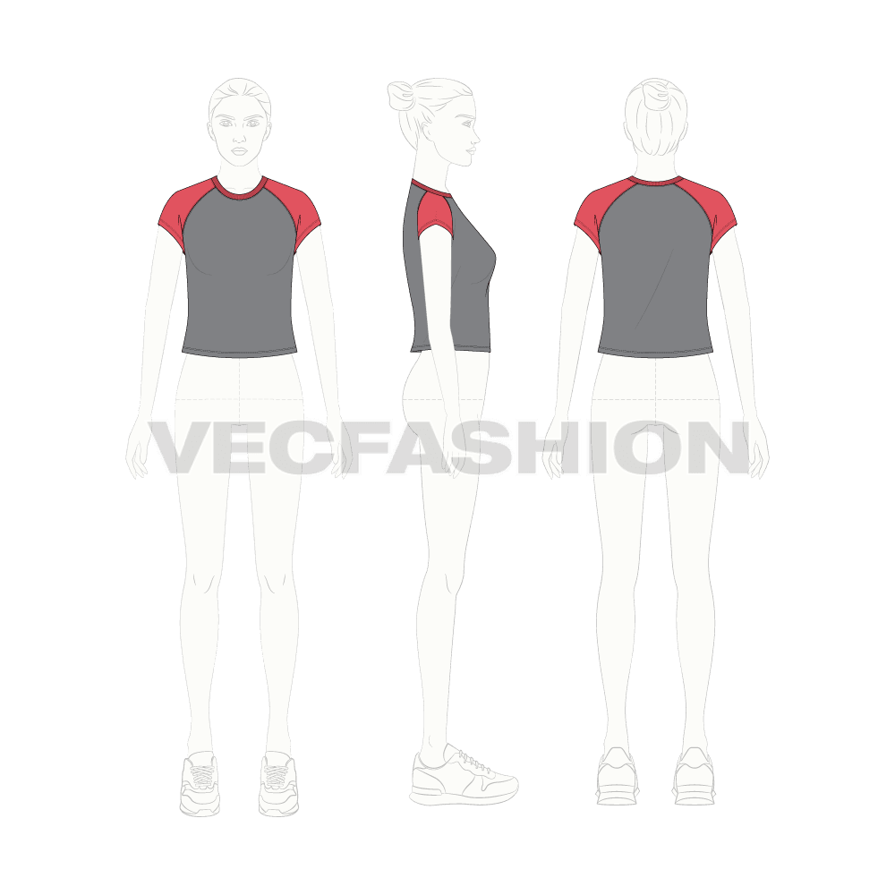 Womens cap sleeved short body tee flat sketch, croqui sketch