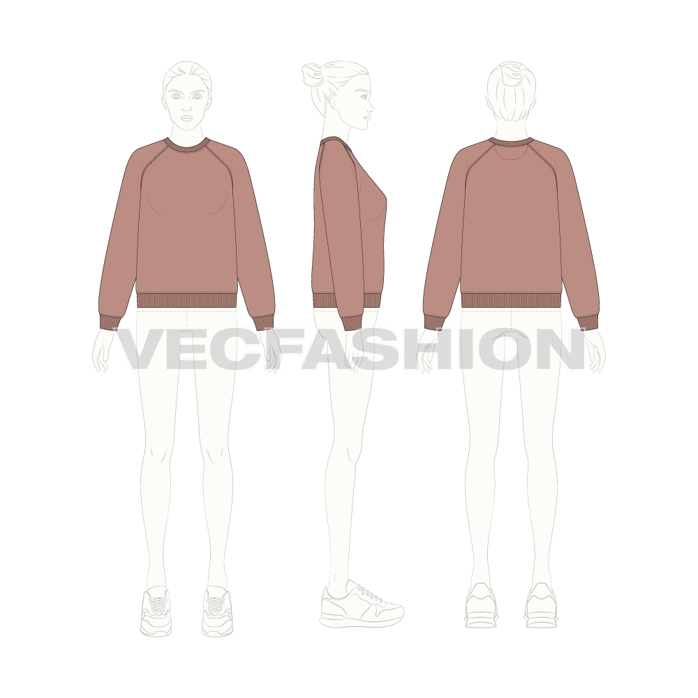 Womens crew neck raglan sleeve sweatshirt flat sketch, croqui sketch