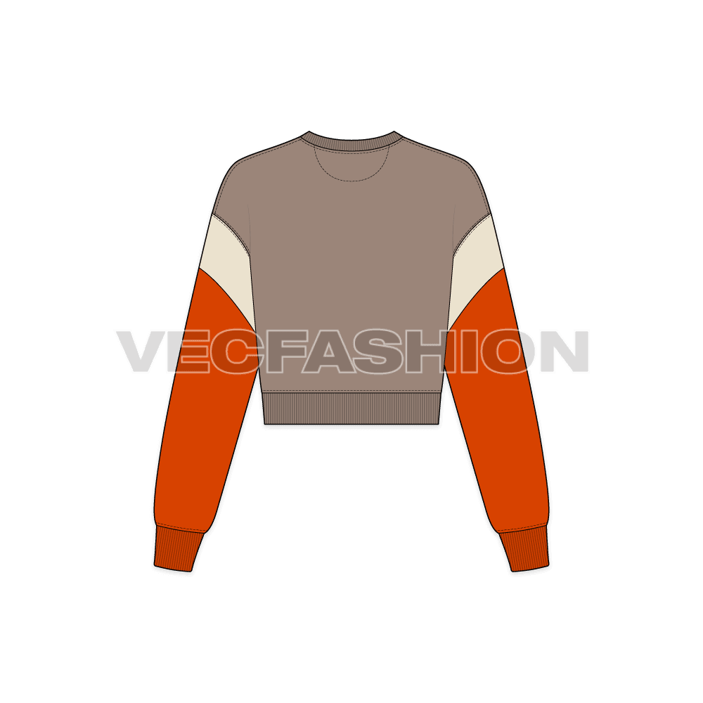 Womens crop crewneck sweatshirt flat sketch, back view