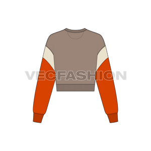 A new vector illustrator template of Women's Crop Crewneck Sweatshirt. It is a very stylish design with crop and short body pattern. The body and sleeve and contrast colored panels. 