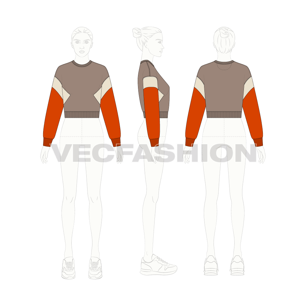 Womens crop crewneck sweatshirt flat sketch, croqui sketch