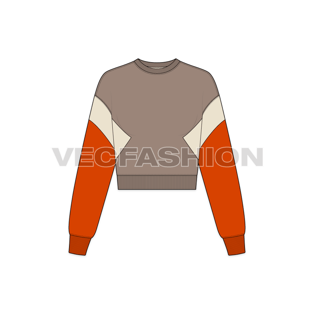 Womens crop crewneck sweatshirt flat sketch, front view