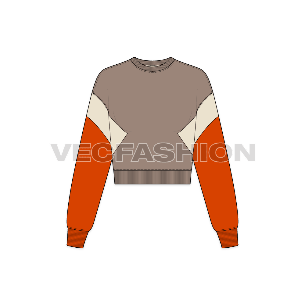 A new vector illustrator template of Women's Crop Crewneck Sweatshirt. It is a very stylish design with crop and short body pattern. The body and sleeve and contrast colored panels. 