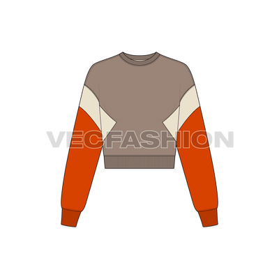 A new vector illustrator template of Women's Crop Crewneck Sweatshirt. It is a very stylish design with crop and short body pattern. The body and sleeve and contrast colored panels. 