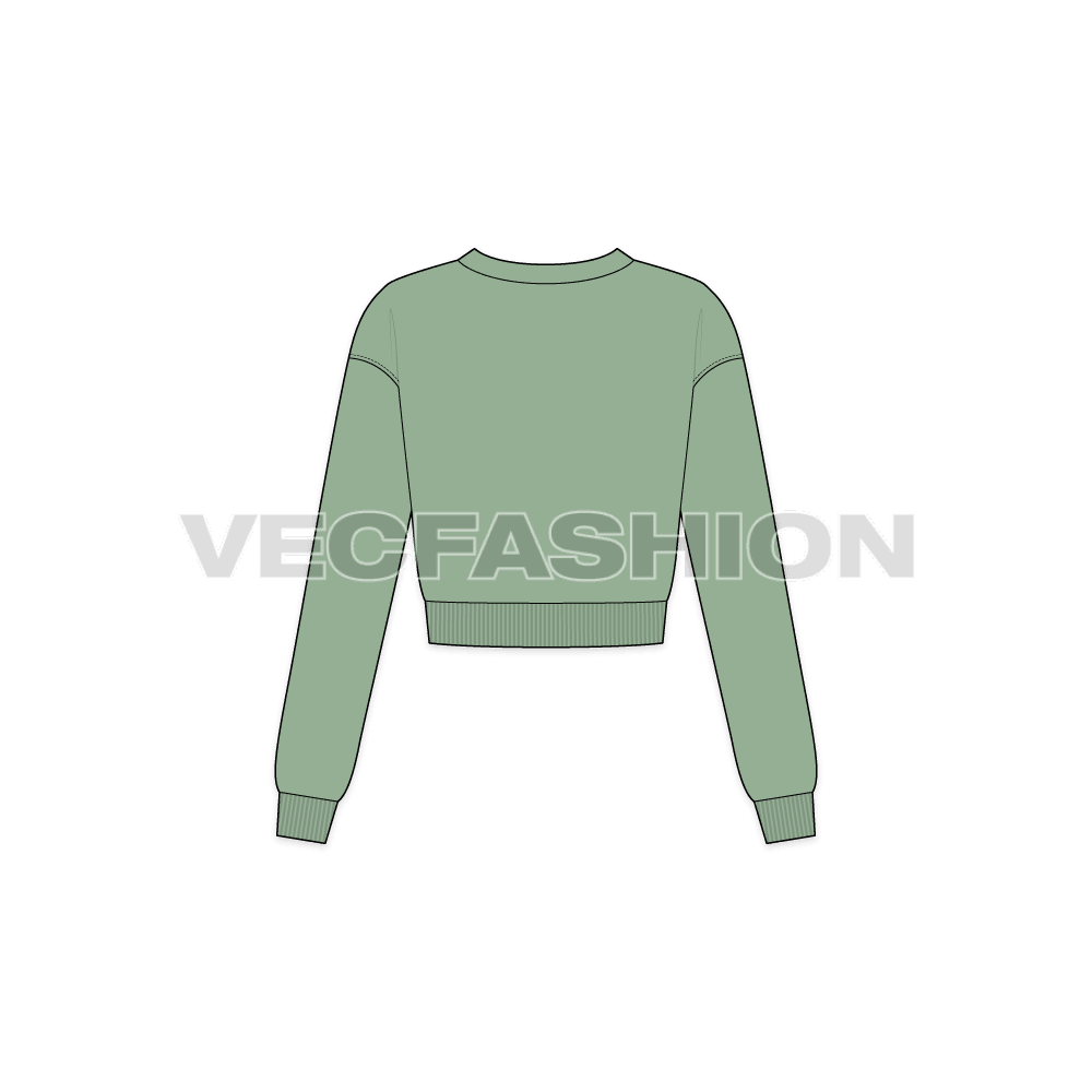 Womens cropped pullover flat sketch, back view