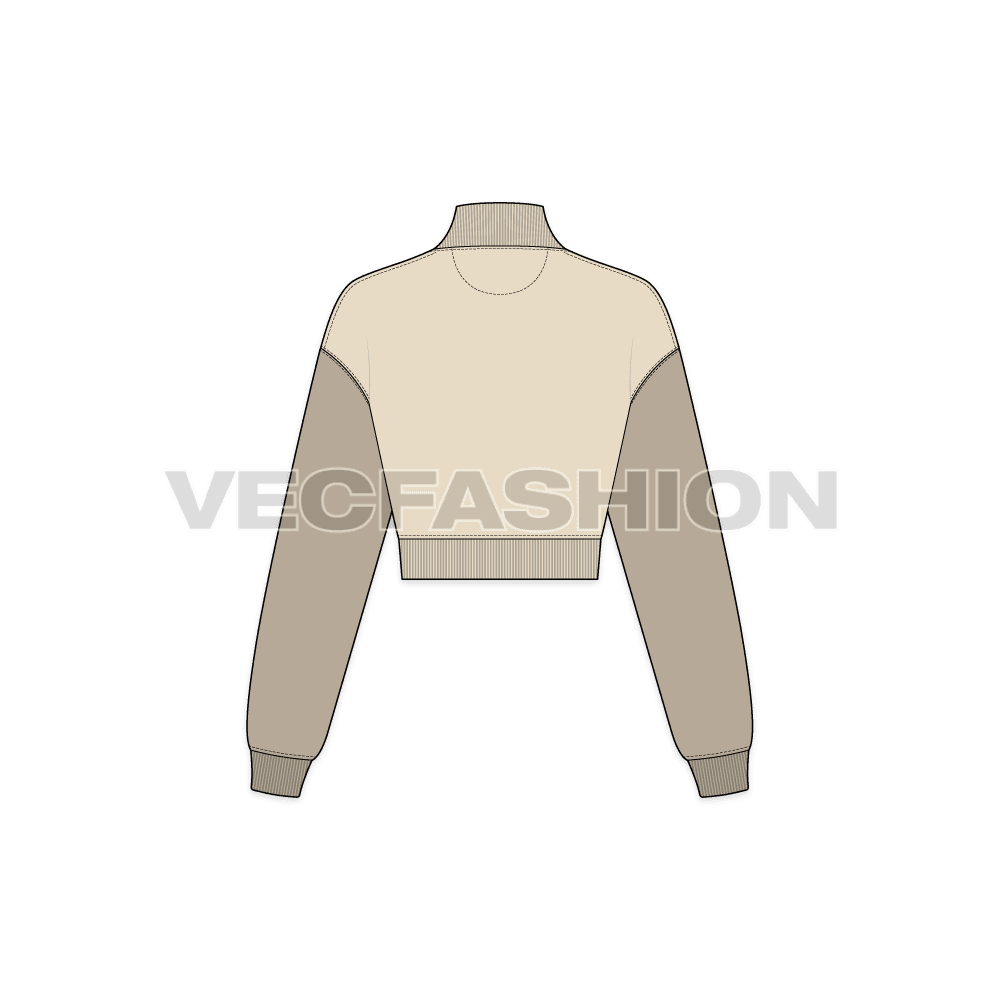 Womens cropped sweatshirt flat sketch, back view