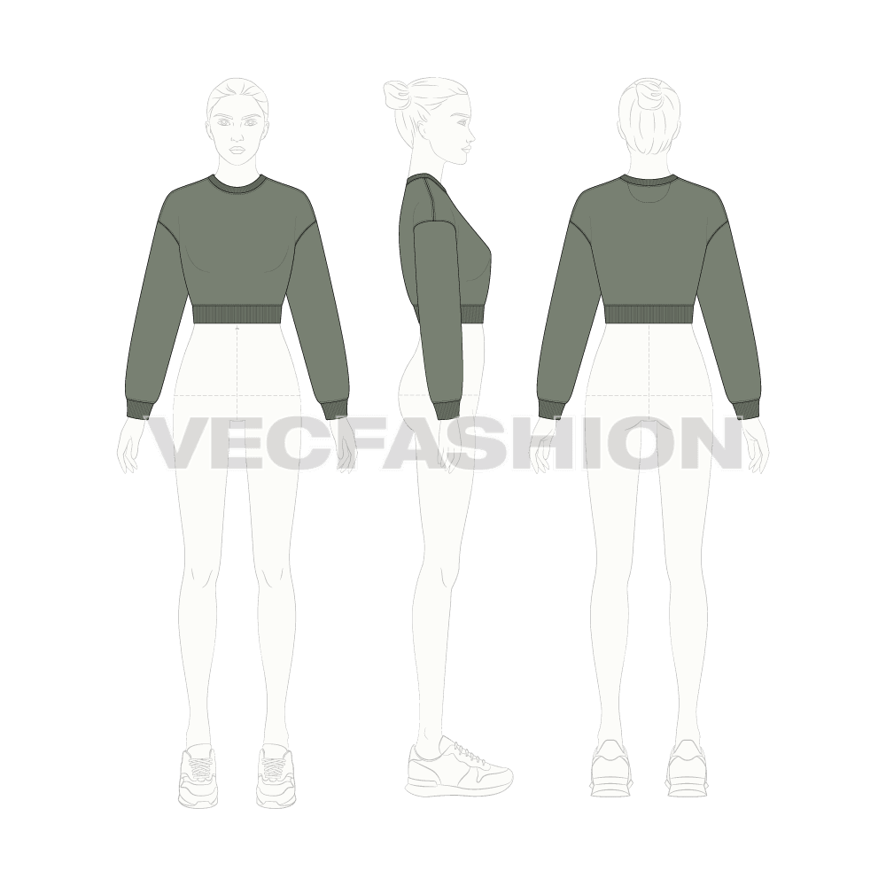 Womens drop shoulder crop sweatshirt flat sketch, croqui sketch