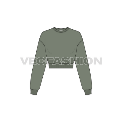 A vector illustrator sketch template of Women's Drop Shoulder Crop Sweatshirt. It is illustrated with Front, Side and Back view. It has rib on neck, sleeve cuffs and bottom hem. It is a drop-shoulder sweatshirt with crop body fit.