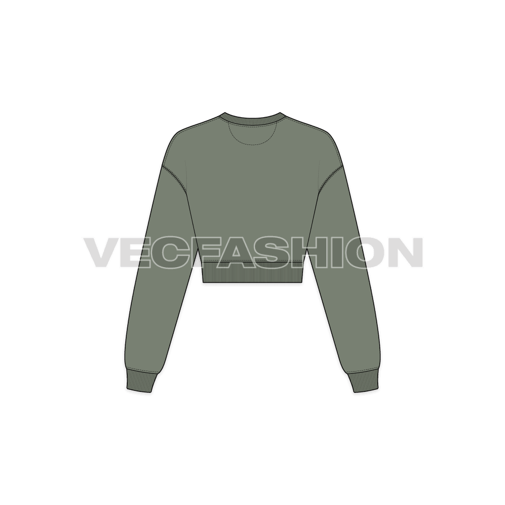 Womens drop shoulder crop sweatshirt flat sketch, back view