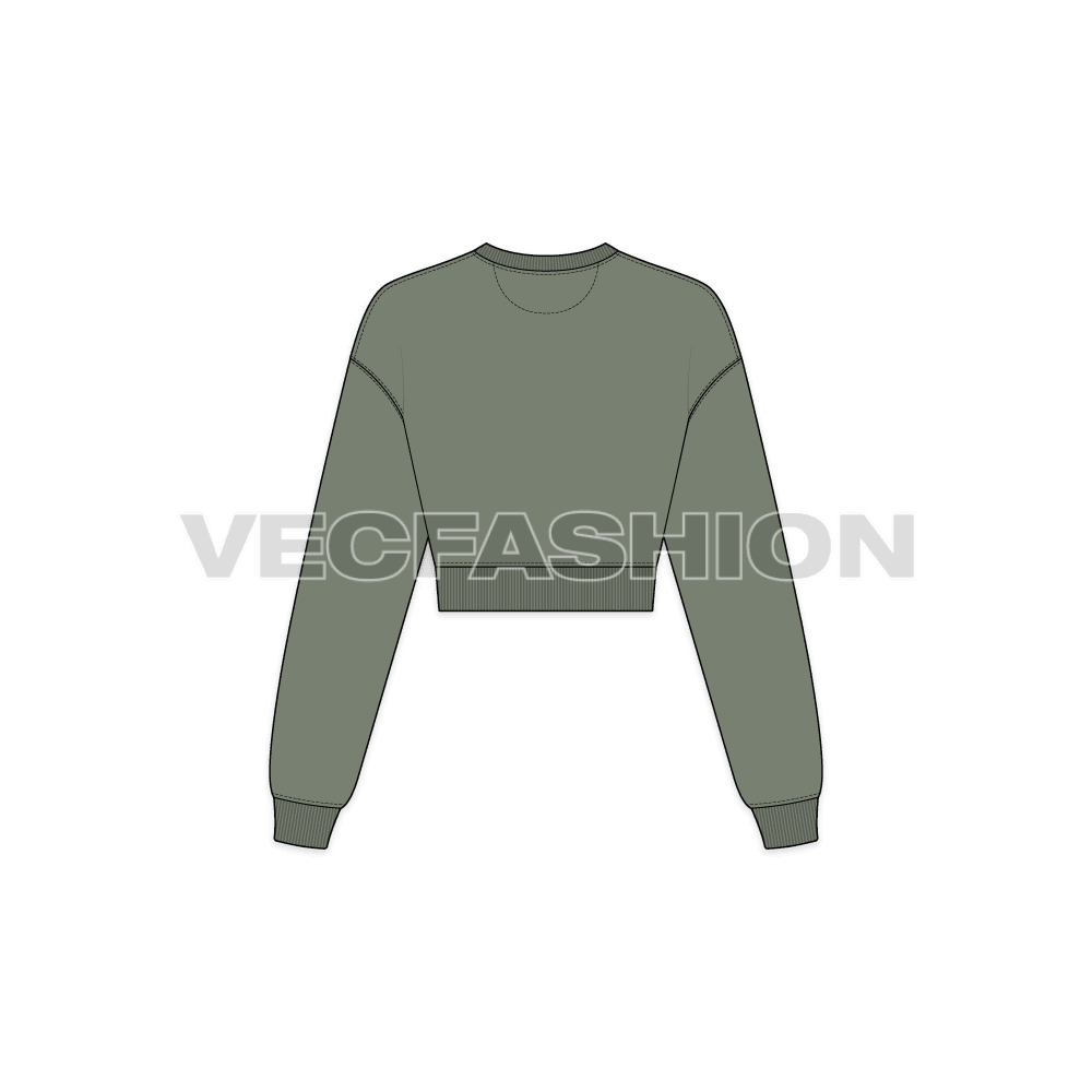 A vector illustrator sketch template of Women's Drop Shoulder Crop Sweatshirt. It is illustrated with Front, Side and Back view. It has rib on neck, sleeve cuffs and bottom hem. It is a drop-shoulder sweatshirt with crop body fit.
