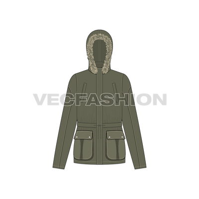 A detailed and clean vector template for Women's Parka Jacket in Forest Green Color. It has many details like Hood, Fur, Pockets, Belt etc.