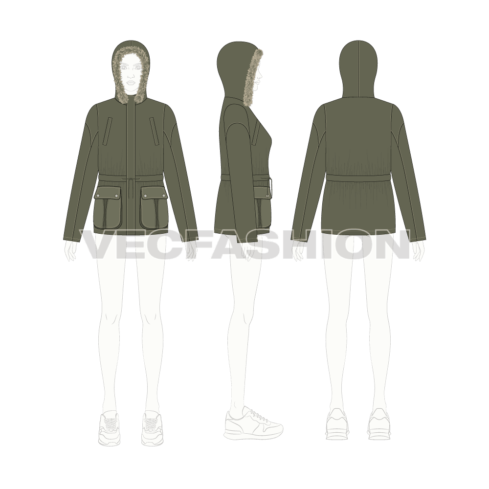 Women's Forest Green Parka Jacket flat sketch, croqui sketch