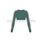 Womens full sleeved cropped sweater flat sketch, back view