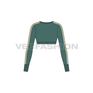 A vector template for Women's Full Sleeved Cropped Sweater. It has contrast piping going down the sleeve along with a contrast color panel. 
