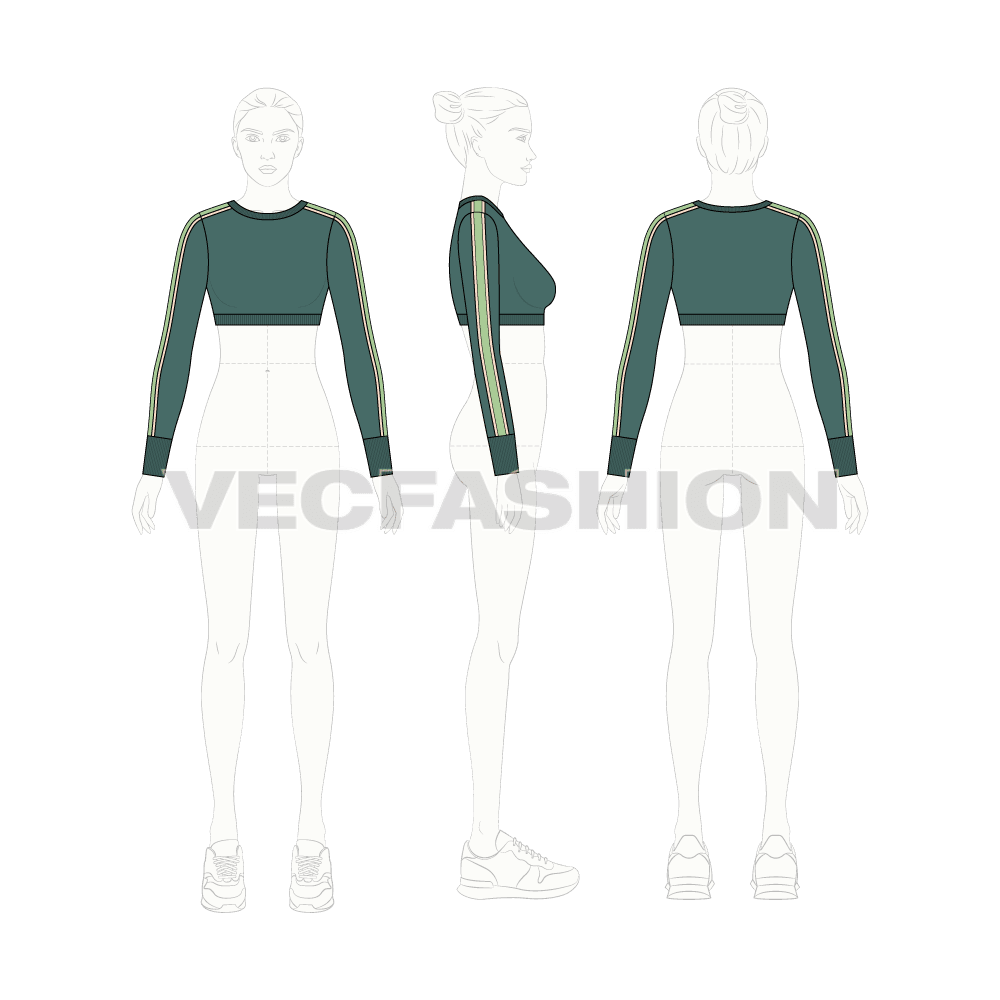 Womens full sleeved cropped sweater flat sketch, croqui sketch