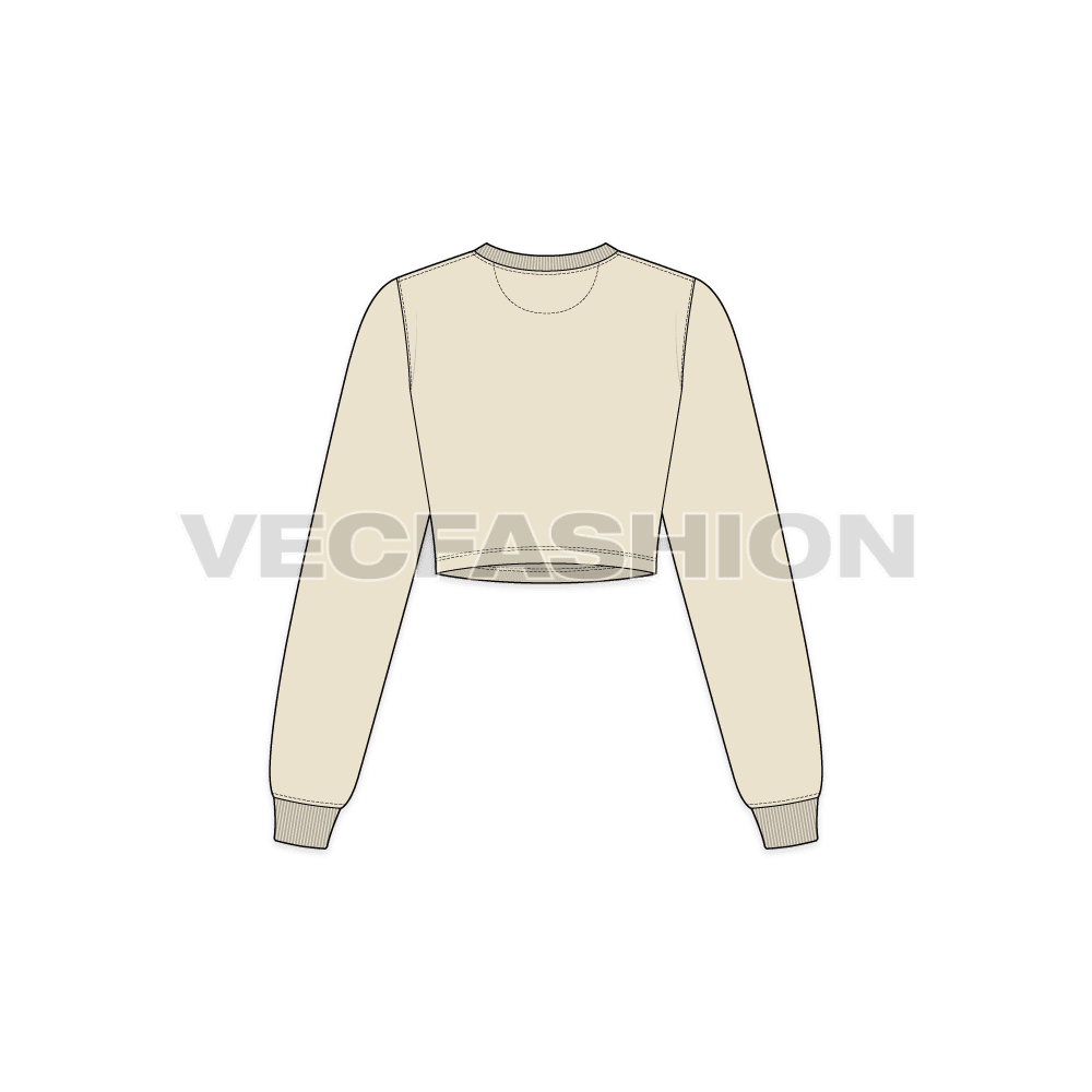 Womens full sleeves crop sweatshirt flat sketch, back view