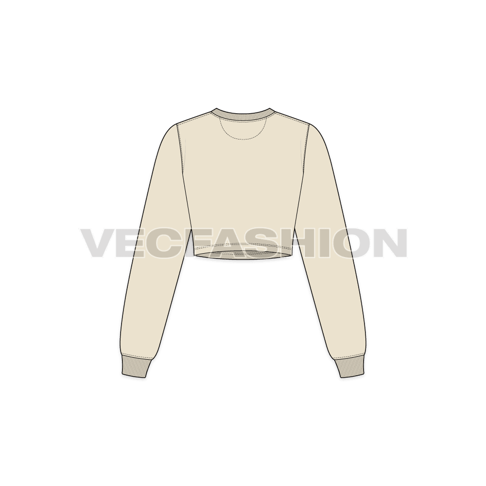 A vector illustrator sketch template of Women's Full Sleeves Crop Sweatshirt. It is illustrated with Front, Side and Back view. It has rib on neck and sleeve cuffs.